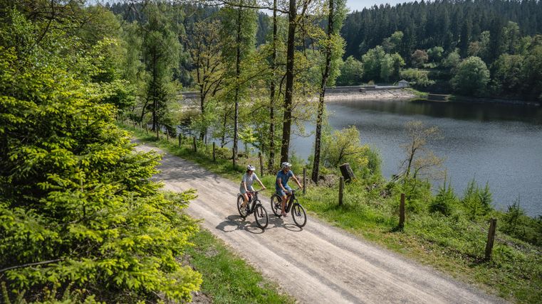 Zwei Radfahrer fahren auf einem schmalen Weg entlang eines ruhigen Sees. Die Umgebung ist grün und von Bäumen umgeben, was eine entspannte Naturatmosphäre schafft.