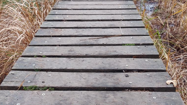 Ein Holzsteg führt durch ein Gebiet mit hohem Gras und Bäumen im Hintergrund. Der Weg scheint in die Natur zu führen und lädt zu einem ruhigen Spaziergang ein.