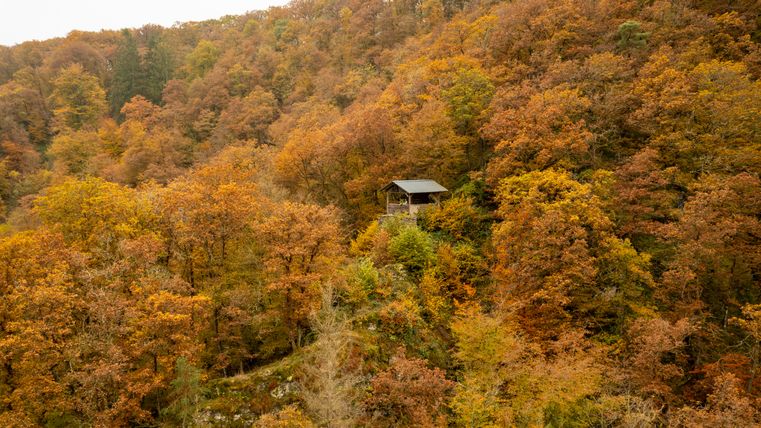 Eine Hütte thront über einem herbstlichen Wald mit buntem Laub.