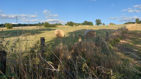 Eine weite Wiese mit Heuballen und vereinzelten Bäumen. Der Himmel ist blau mit einigen Wolken.