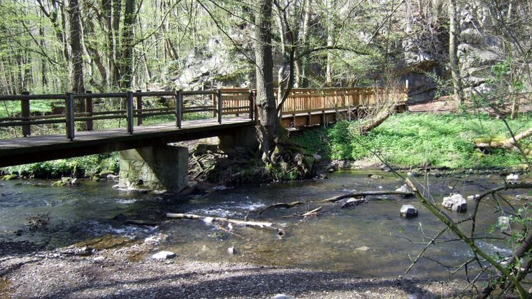 Holzbrücke über einen Bach in einem Waldgebiet.