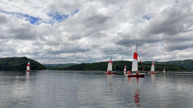 Mehrere Segelboote mit roten Segeln fahren auf einem ruhigen See. Im Hintergrund sind grüne Hügel und ein bewölkter Himmel zu sehen.