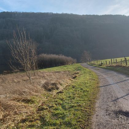 Ein ruhiger Weg, der durch eine grüne Landschaft führt. Im Hintergrund sind sanfte Hügel und ein klarer Himmel zu sehen.