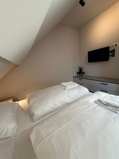 Ein gemütliches Zimmer mit zwei Betten und frischer Bettwäsche. An der Wand hängt ein Fernseher, und es gibt eine schlichte Kommode mit Pflanzen.