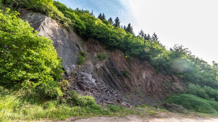 Schieferfelsen mit Bäumen in Niederkail am Eifelsteig.
