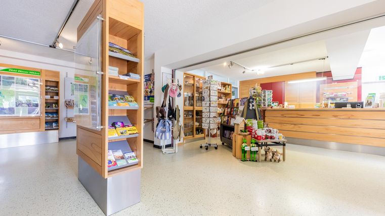 Ein moderner Verkaufsraum mit Regalen und einem Empfangstresen. Es sind diverse Informationsmaterialien und Souvenirs ausgestellt.