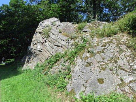 Ein markanter Felsen mit schichtförmiger Struktur und grünem Bewuchs. Der Felsen ist von Wiese und Bäumen umgeben.