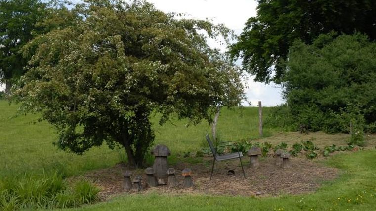 Ein ruhiger Gartenbereich mit einem großen Baum und einem Holzstuhl. Rund um den Baum sind kleine Pilze und eine Vielzahl von Pflanzen zu sehen.