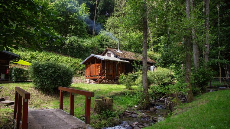 Eine kleine Holzhütte umgeben von Bäumen und einem klaren Bach. Die grüne Landschaft strahlt Ruhe und Naturverbundenheit aus.