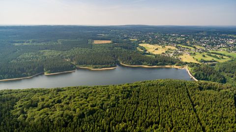 Luftaufnahme der Dreilägerbachtalsperre mit umgebenden Wäldern und Feldern.