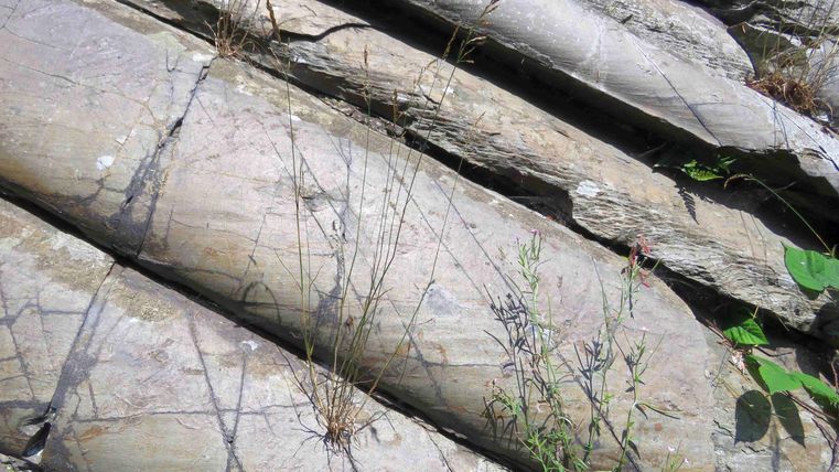 Eine Ansammlung von großen, glatten Steinen, die übereinanderliegen. Einige Pflanzen wachsen zwischen den Fugen der Steine.