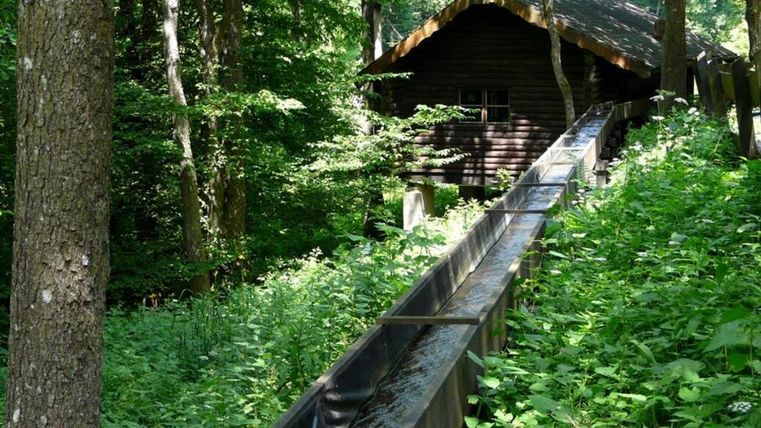 Ein altes Holzhaus umgeben von dichtem Wald. Neben dem Haus verläuft ein Wasserlauf durch die grüne Vegetation.