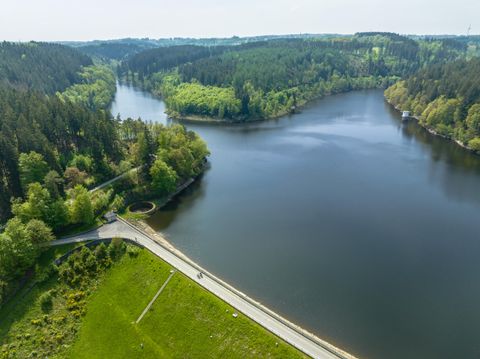 Eine malerische Landschaft mit einem See, umgeben von grünen Wäldern. Ein gepflasterter Weg zieht sich entlang des Wassers.