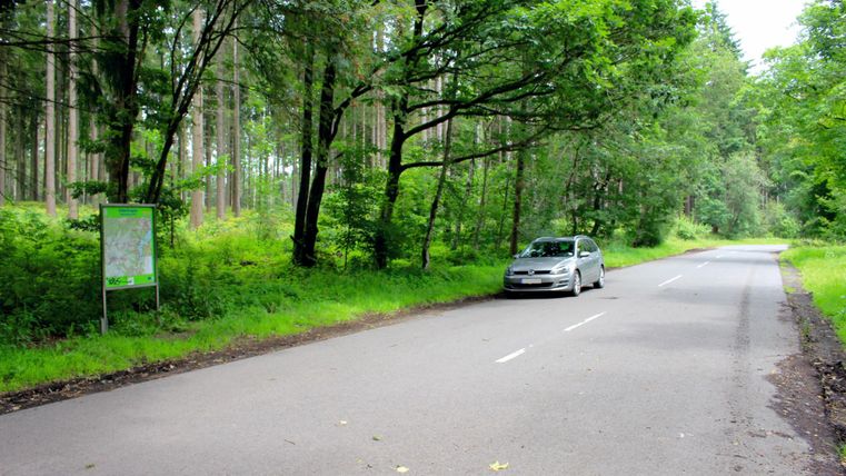 Eine ruhige Straße in einem Wald mit viel grünem Laub. Ein Auto steht an der Seite der Straße.