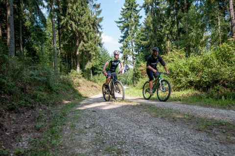 Zwei Männer fahren mit Mountainbikes auf einem Schotterweg durch einen Wald. Umgeben von Bäumen und grünem Gestrüpp genießen sie die Natur.