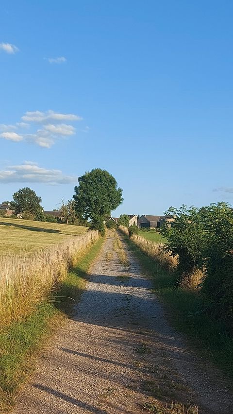Ein Schotterweg, der durch eine ländliche Landschaft führt. Am Ende des Weges sind einige Häuser sichtbar, unter einem klaren blauen Himmel.