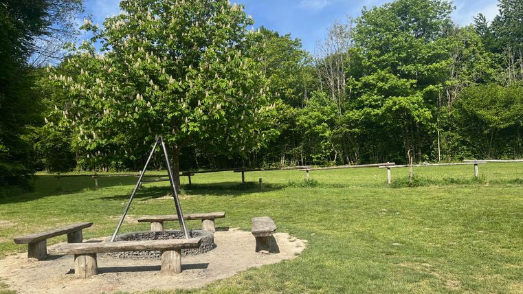 Ein ruhiger Park mit einer Feuerstelle aus Holz und Bänken. Umgeben von Bäumen und grünem Gras.