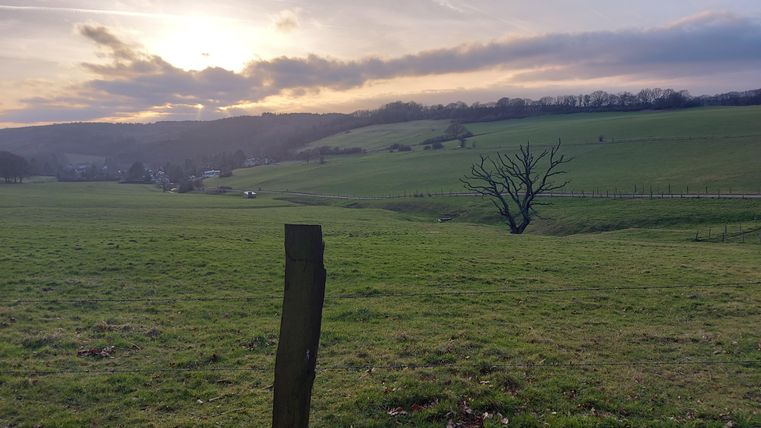 Eine weitläufige Wiesenlandschaft mit sanften Hügeln im Hintergrund. Am Horizont sind der Sonnenuntergang und ein einzelner Baum zu sehen.
