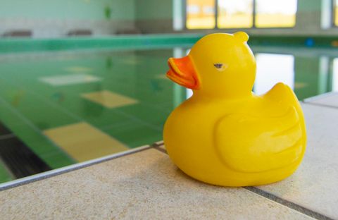Ein gelbes Gummi-Ente auf dem Rand eines Schwimmbeckens. Im Hintergrund ist das Wasser und ein Fenster zu sehen.