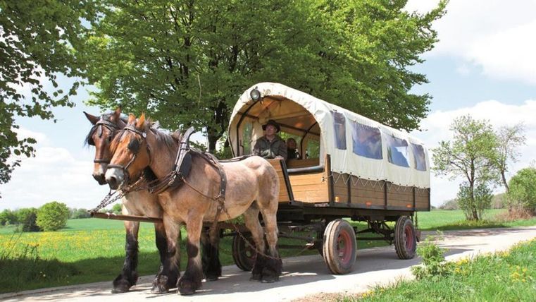 Ein Pferdewagen fährt auf einem Feldweg. Im Wagen sitzt eine Person und im Hintergrund sind grüne Bäume zu sehen.