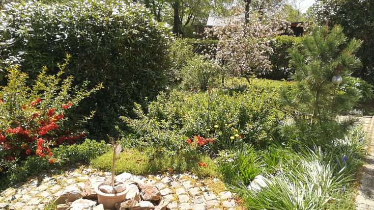 Ein schöner Garten mit bunten Blumen und einem runden Steingarten. Im Hintergrund sind Bäume und Sträucher zu sehen.