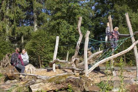 Ein Spielplatz im Freien aus Holz mit Kletter- und Balanciermöglichkeiten. Kinder spielen und erkunden die Natur in einer grünen Umgebung.