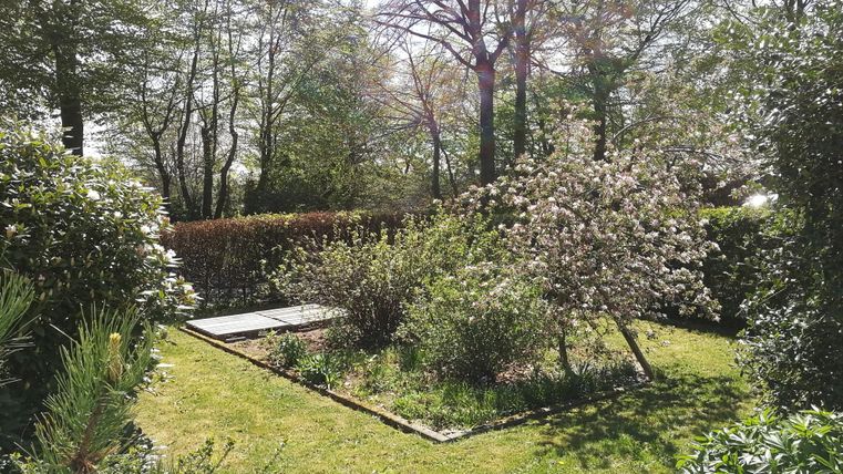 Ein schöner Garten mit blühenden Büschen und einer grünen Rasenfläche. Die Bäume im Hintergrund spenden Schatten und sorgen für eine ruhige Atmosphäre.