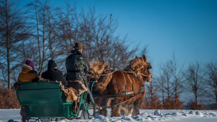 Eine Pferdeschlittenfahrt im Schnee mit mehreren Passagieren. Der Himmel ist klar und die Umgebung ist von schneebedeckten Bäumen umgeben.
