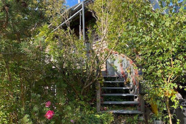 Ein verwunschener Garten mit vielen Pflanzen und Büschen. Eine Holztreppe führt zu einem Gebäude im Hintergrund.