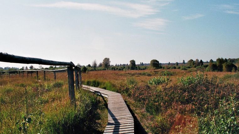 Ein Wanderweg aus Holz führt durch eine weite, grüne Landschaft. Sanfte Hügel und Pflanzen umgeben den Pfad unter einem klaren Himmel.
