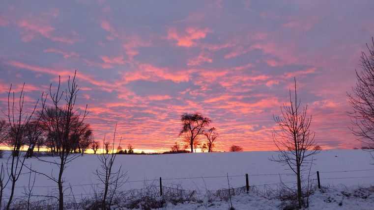 Ein winterlicher Sonnenuntergang mit leuchtenden Farben am Himmel. Im Vordergrund sind schneebedeckte Felder und vereinzelte Bäume zu sehen.