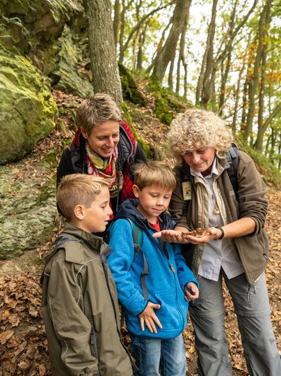 Eine Gruppe von Kindern beobachtet gespannt etwas in der Hand einer Erwachsenen im Wald. Sie stehen umgeben von Bäumen und Felsen, während sie die Natur erkunden.