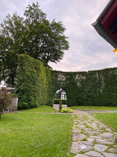 Ein gepflegter Garten mit einer hohen, bewachsenen Mauer und einem gepflasterten Weg. Im Hintergrund ist ein Schatten spendender Baum und ein Hauch von blassem Himmel zu sehen.