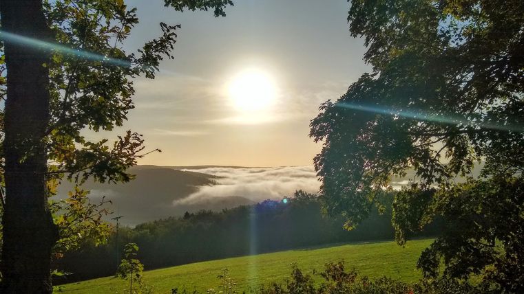Eine schöne Landschaft mit einem Sonnenaufgang hinter Bäumen. Nebel zieht über die Wiesen im Hintergrund.