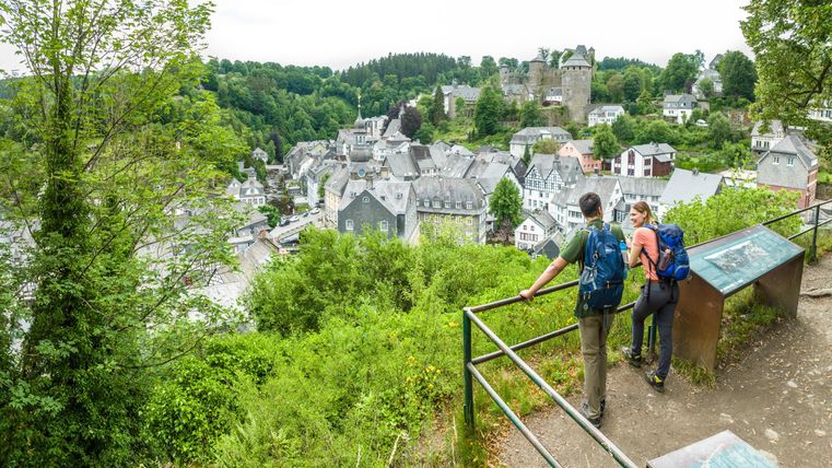 Eine malerische Stadtansicht mit Wanderern, die auf die Dächer einer kleinen Stadt blicken. Im Hintergrund sind grüne Hügel und alte Burgruinen zu sehen.