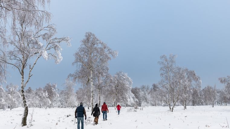 Menschen wandern im Schnee auf der Struffeltroute, umgeben von schneebedeckten Bäumen.