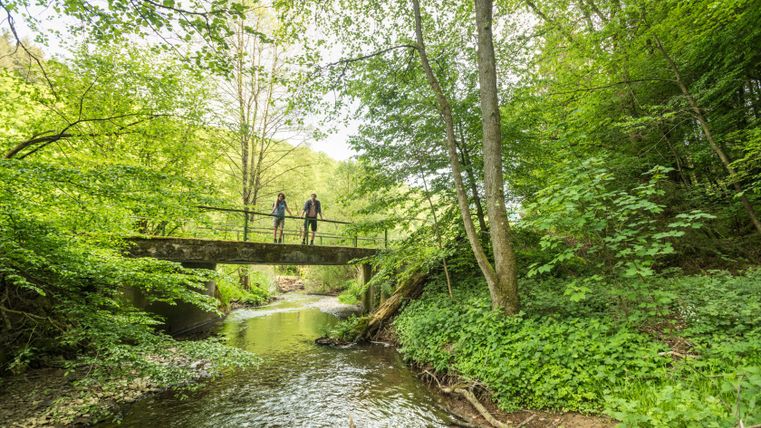 Zwei Personen stehen auf einer Brücke über einen Bach in einem grünen Wald.