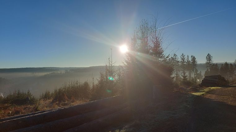 Eine sonnige Landschaft mit Bäumen und Nebel in der Ferne. Der Himmel ist klar und blau.