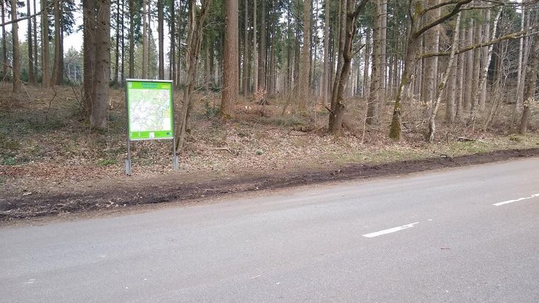 Ein Schilderbaum steht am Straßenrand in einem Waldgebiet. Die Umgebung ist ruhig und grün, mit Bäumen im Hintergrund.