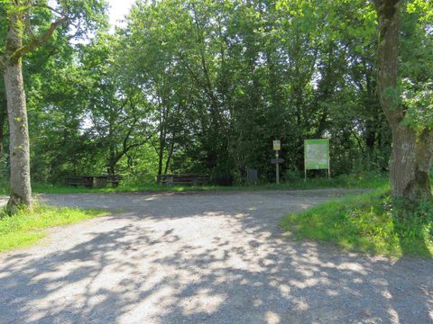 Eine ruhige Weggabelung im Grünen, umgeben von Bäumen. Ein Schild deutet auf einen möglichen Wanderweg hin.