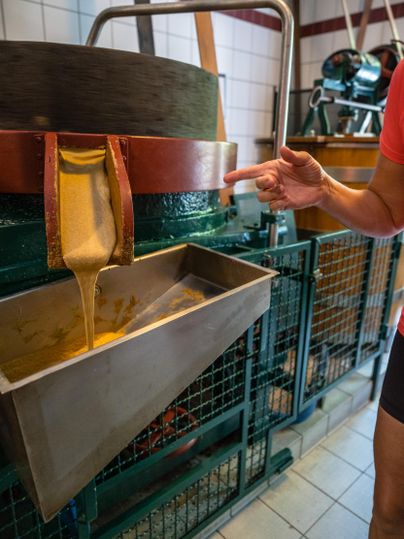Eine Person zeigt auf eine Maschine zur Herstellung von Öl. Goldene Flüssigkeit fließt aus der Vorrichtung in einen Behälter.