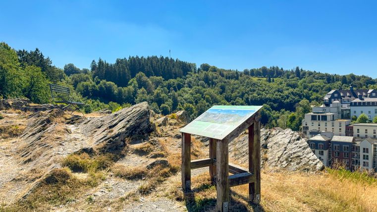 Eine Aussicht auf eine grüne Waldlandschaft mit einem Informationsschild im Vordergrund. Im Hintergrund sind einige Gebäude zu sehen.
