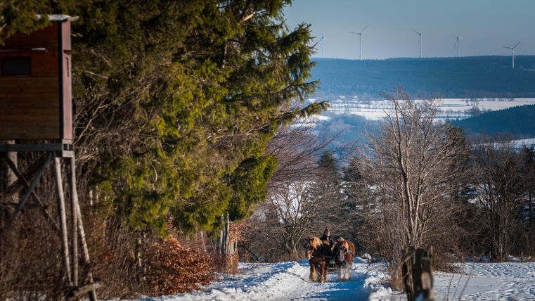 Ein verschneiter Weg führt durch eine Winterlandschaft. Im Hintergrund sind Bäume und Windkraftanlagen zu sehen.