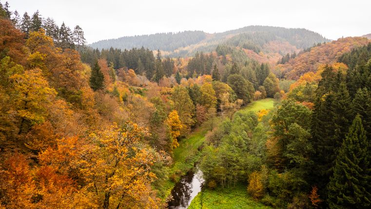 Herbstliche Landschaft im Liesertal mit bunten Bäumen und einem kleinen Fluss.