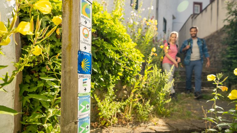 Ein Wegweiser mit verschiedenen Wanderrouten in Blankenheim, umgeben von gelben Blumen. Zwei Personen wandern im Hintergrund.