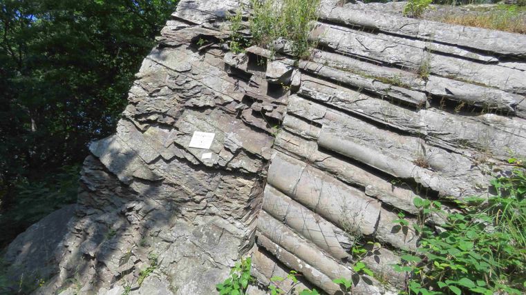 Eine geologische Formation aus geschichteten Felsen, teilweise mit grüner Vegetation bewachsen. Neben dem Stein befindet sich ein Schild mit Informationen.