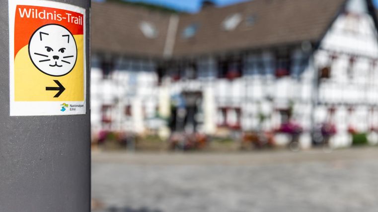 Ein Wegweiser zum Wildnis-Trail mit einem Katzengesicht-Symbol. Im Hintergrund ist ein traditionelles Fachwerkhaus zu sehen.