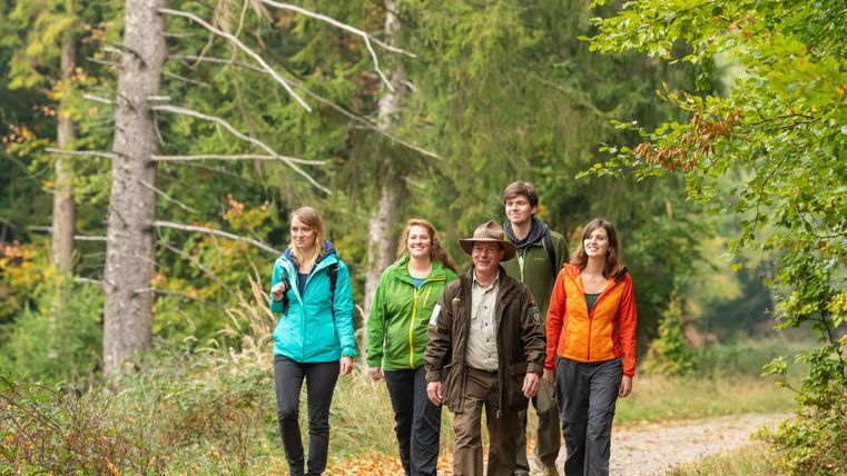 Eine Gruppe von fünf Personen wandert auf einem Waldweg. Sie tragen Outdoor-Bekleidung und genießen die Natur.