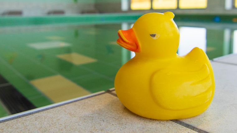 Ein gelbes Gummi-Ente auf dem Rand eines Schwimmbeckens. Im Hintergrund ist das Wasser und ein Fenster zu sehen.