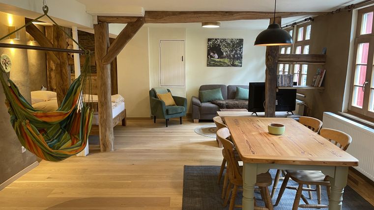 Ein gemütlicher Wohnraum mit einem Essbereich, einem Sofa und einer Hängematte. Helle Wände und Holzdetails schaffen eine einladende Atmosphäre.
